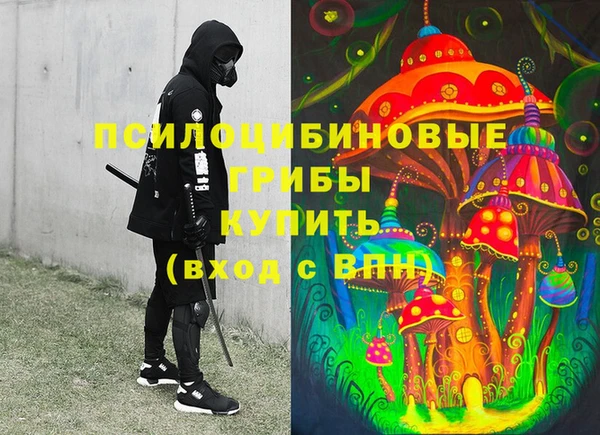 spice Алексин