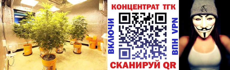Дистиллят ТГК Wax Пущино