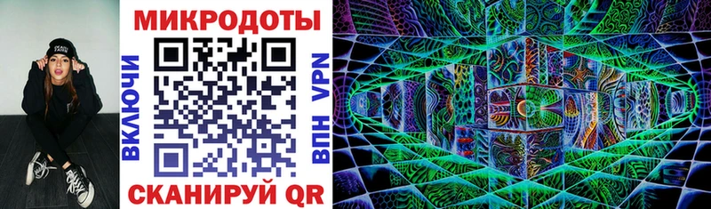 Галлюциногенные грибы Psilocybine cubensis  Пущино 